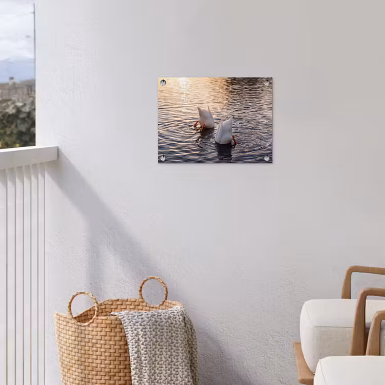 Eenden - Water - Natuur tuinposter los doek klein -sfeer8