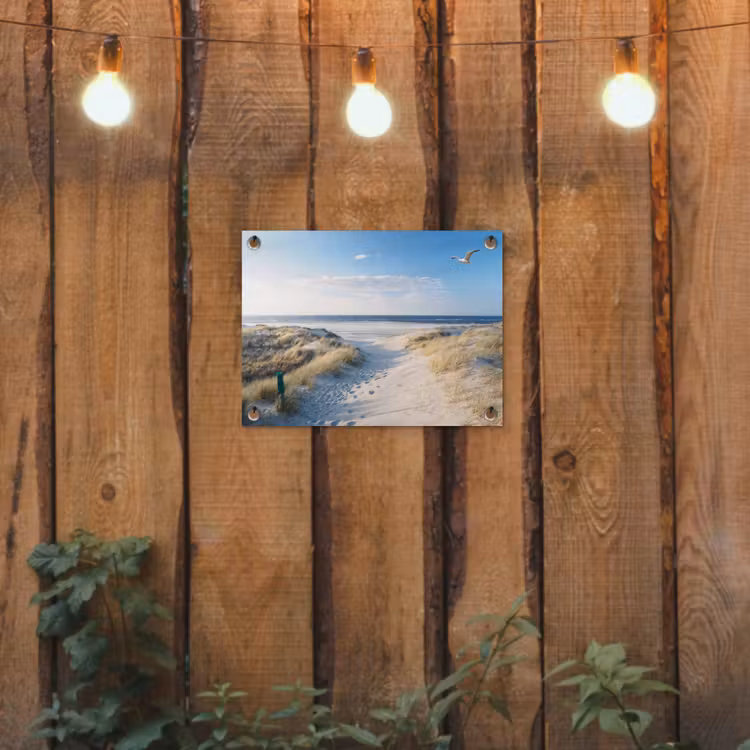 Duin - Meeuw - Strand - Zee - Zon tuinposter los doek klein -sfeer1