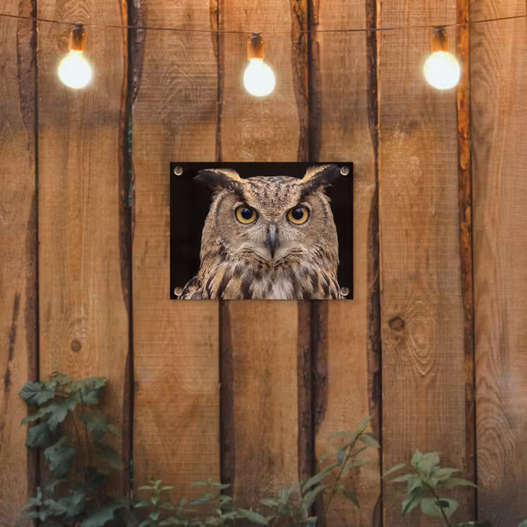 Oehoe - Uil - Portret - Bruin tuinposter los doek klein -sfeer1