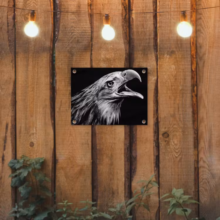 Adelaar - Portret - Roofvogels - Zwart - Wit - Vogel tuinposter los doek klein -sfeer1