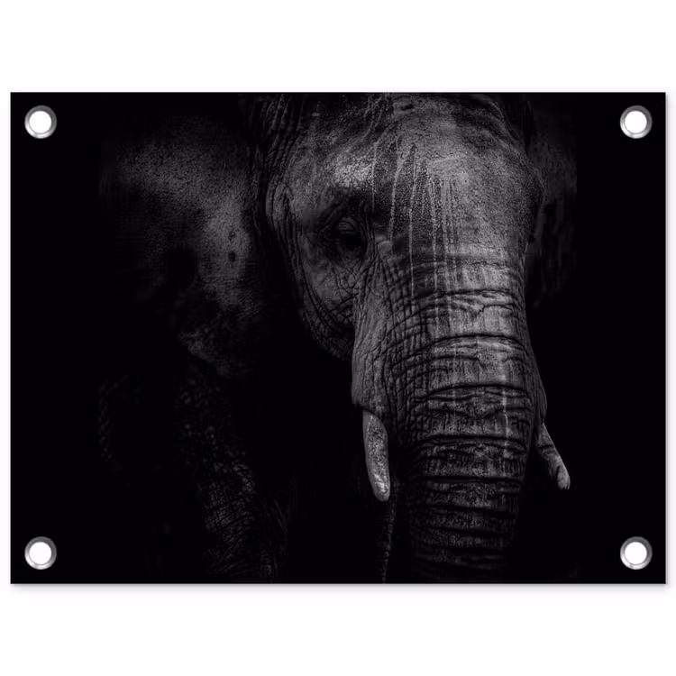 Olifant - Dier - Portret tuinposter los doek klein -3d