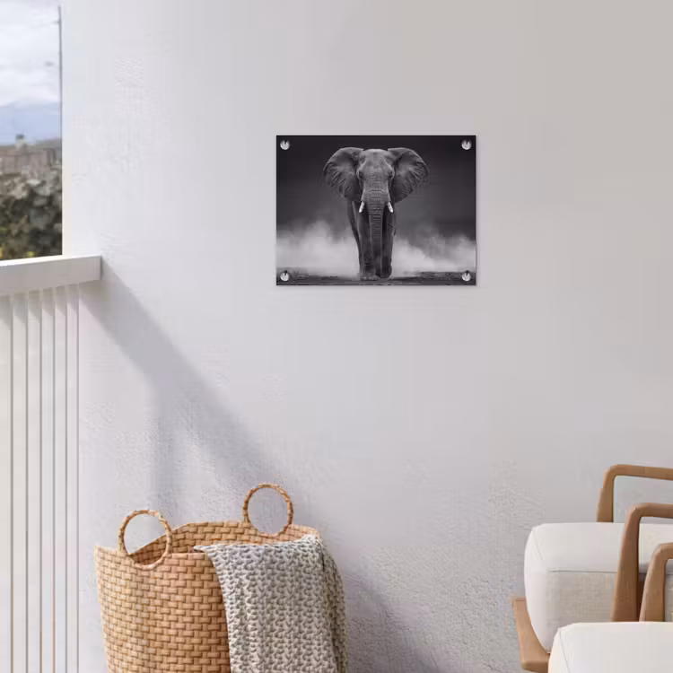 Olifant - Zwart - Wit - Rook tuinposter los doek klein -sfeer8