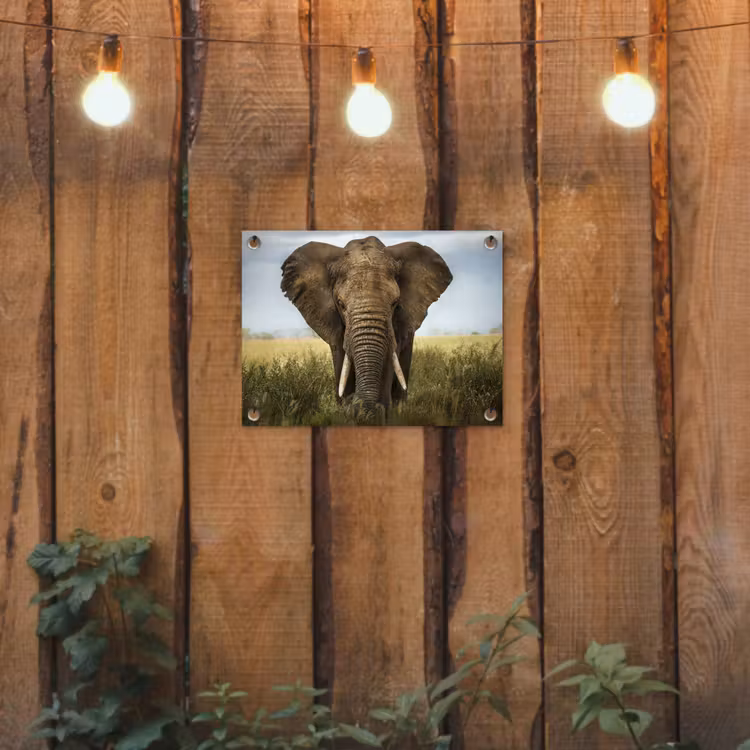 Olifant in de savanne tuinposter los doek klein -sfeer1