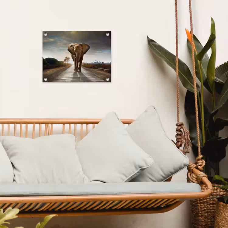 Olifant op een verlaten weg tuinposter los doek klein -sfeer7