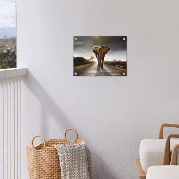 Olifant - Weg - Dieren - Zonsondergang - Landschap tuinposter los doek klein -sfeer8