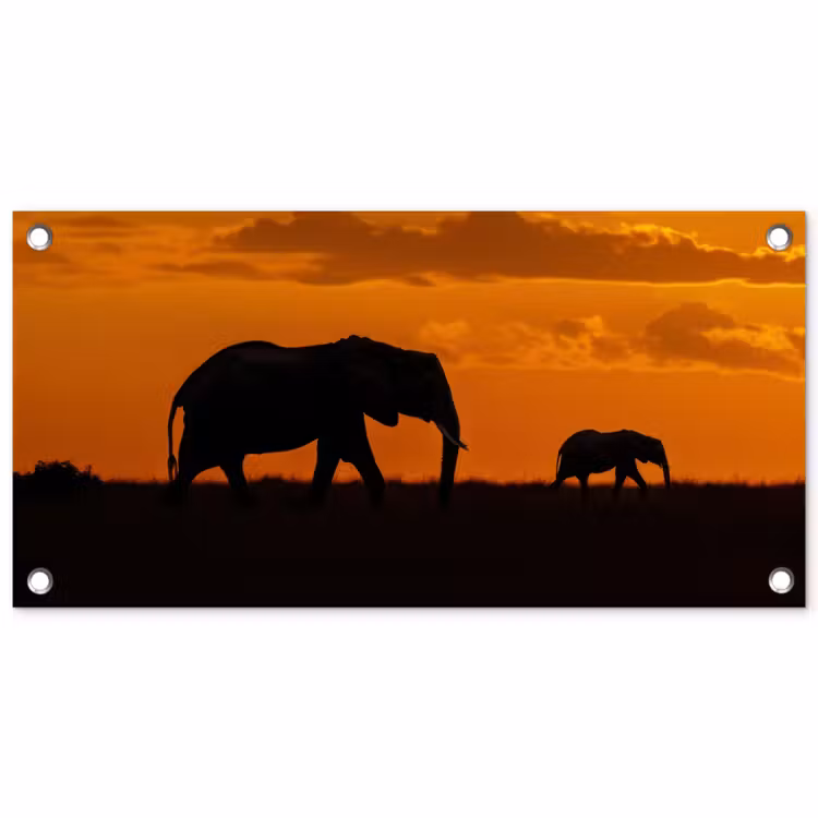 Olifanten - Savanne - Zonsondergang tuinposter los doek klein -3d