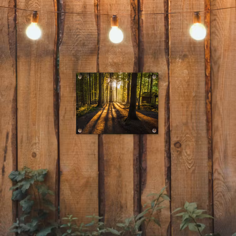 Avondlicht in het bos tuinposter los doek klein -sfeer1
