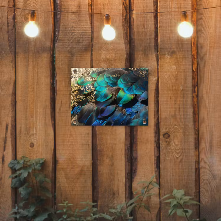 Veren - Pauwveren - Pauw - Blauw - Kunst tuinposter los doek klein -sfeer1