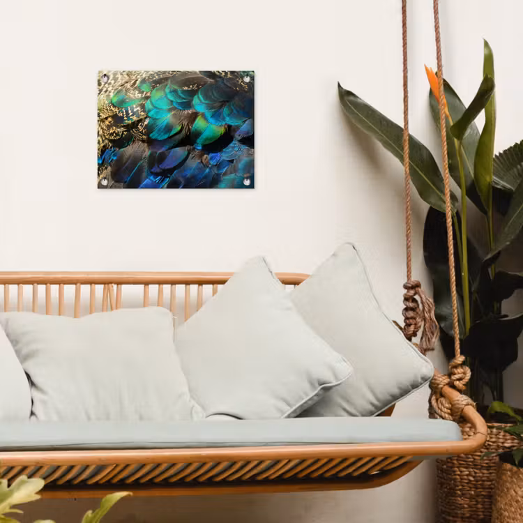 Veren - Pauwveren - Pauw - Blauw - Kunst tuinposter los doek klein -sfeer7
