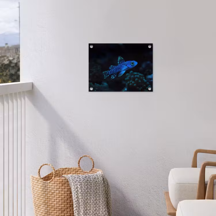 Vis - Stippen - Koraal - Blauw tuinposter los doek klein -sfeer8