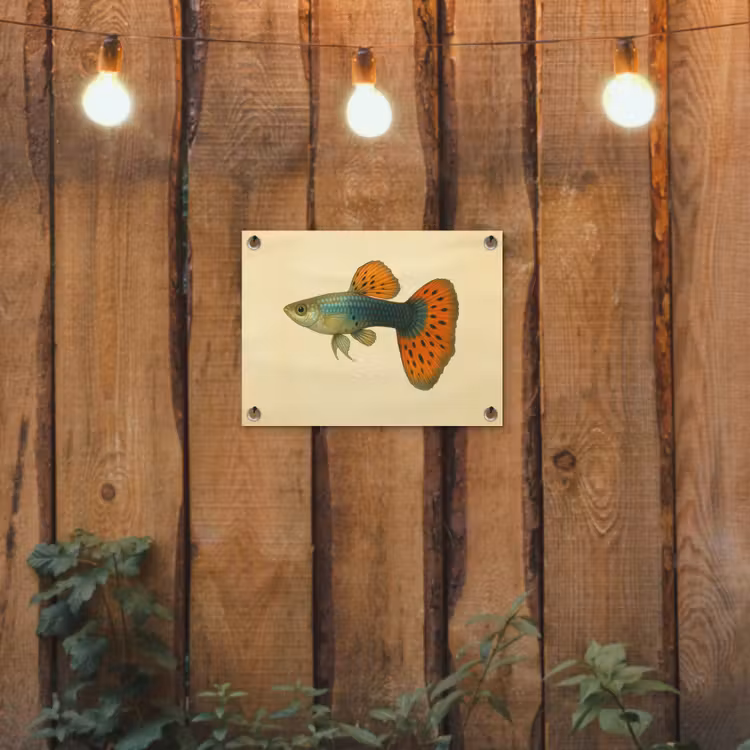 Vis - illustratie - Stippen - Oranje tuinposter los doek klein -sfeer1