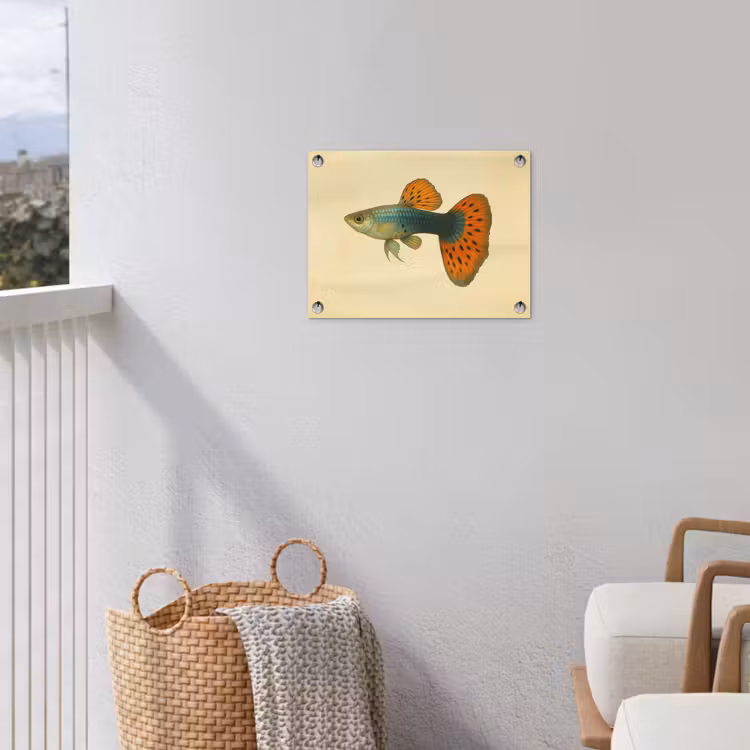 Vis - illustratie - Stippen - Oranje tuinposter los doek klein -sfeer8