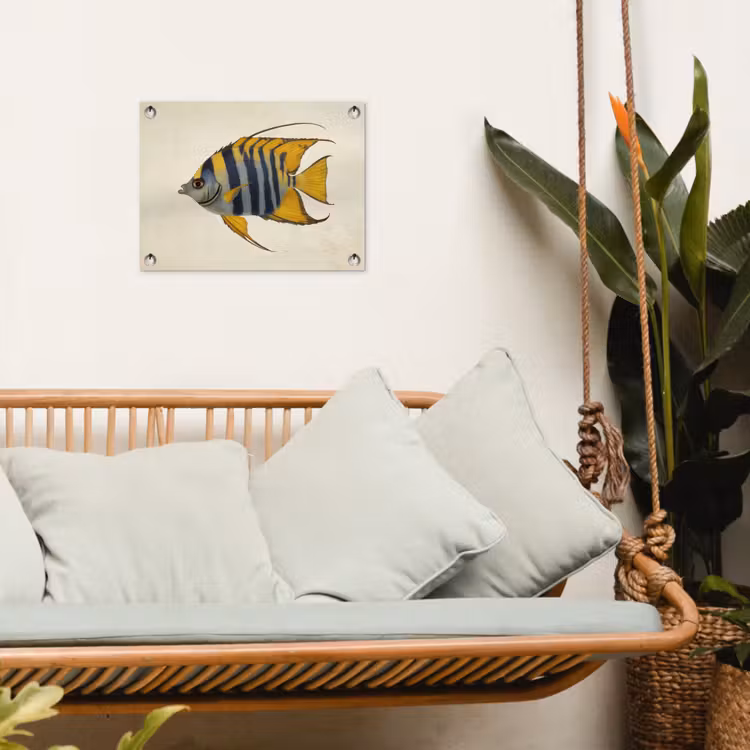 Vis - Sierlijk - Vinnen - Illustratie tuinposter los doek klein -sfeer7