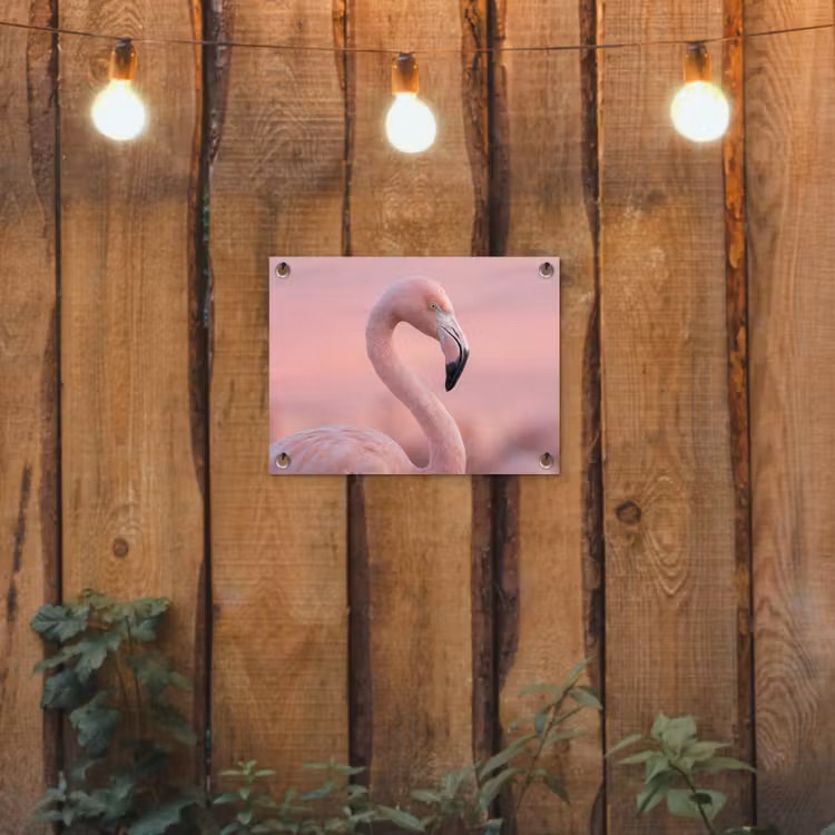 Flamingo - Portret - Roze tuinposter los doek klein -sfeer1