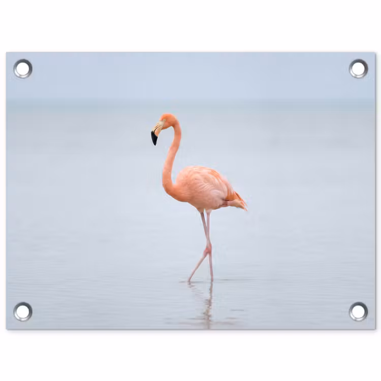 Flamingo - Zee - Roze tuinposter los doek klein -3d
