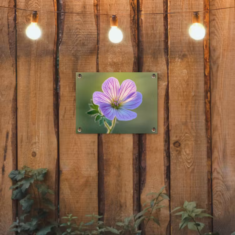 Bloem - Close up - Paars tuinposter los doek klein -sfeer1