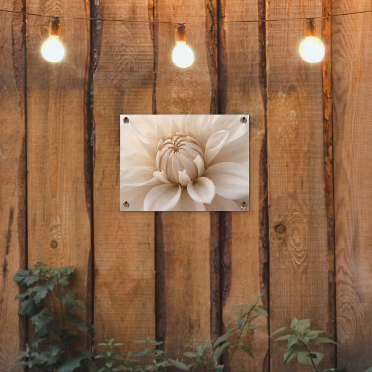 Bloem - Dahlia - Wit tuinposter los doek klein -sfeer1