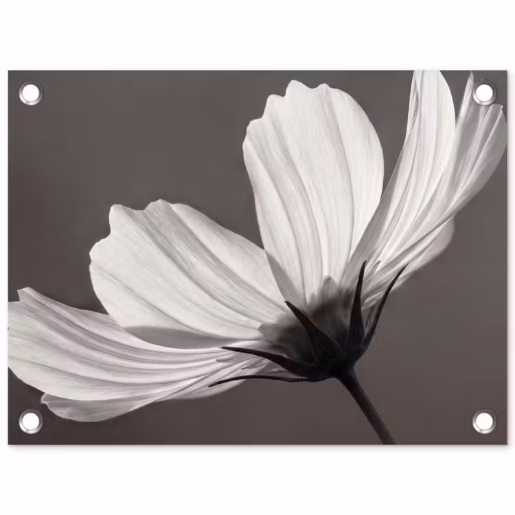 Bloem - Minimalistisch - Zwart - Wit tuinposter los doek klein -3d