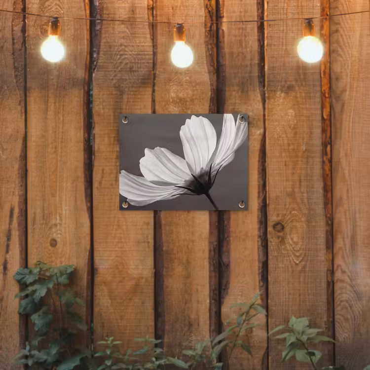 Bloem - Minimalistisch - Zwart - Wit tuinposter los doek klein -sfeer1