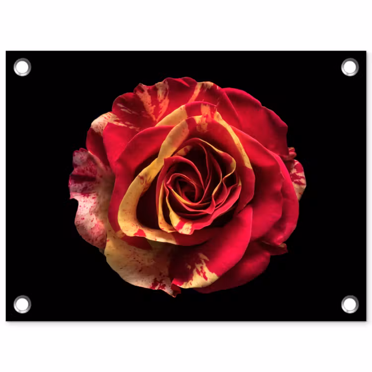 Bloem - Roos - Rood - Zwart tuinposter los doek klein -3d