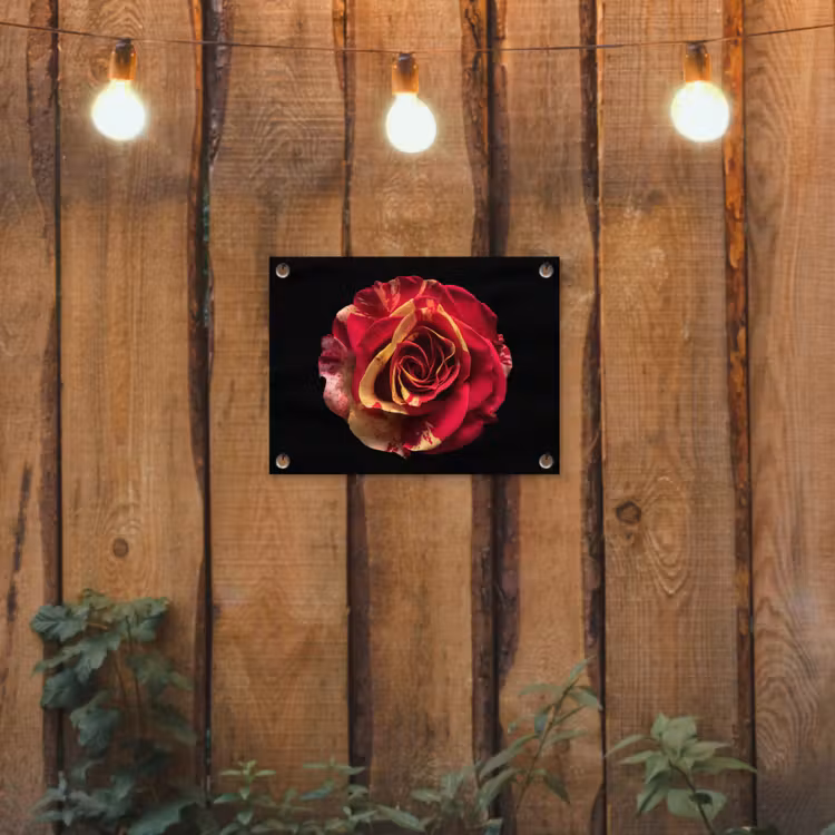 Bloem - Roos - Rood - Zwart tuinposter los doek klein -sfeer1