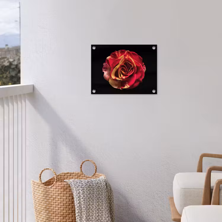 Bloem - Roos - Rood - Zwart tuinposter los doek klein -sfeer8