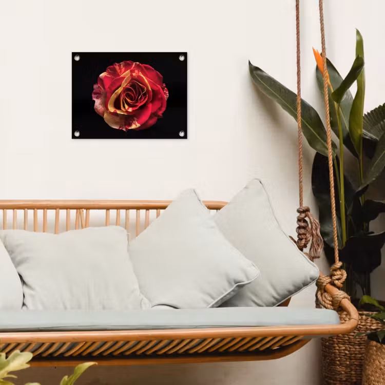 Bloem - Roos - Rood - Zwart tuinposter los doek klein -sfeer7