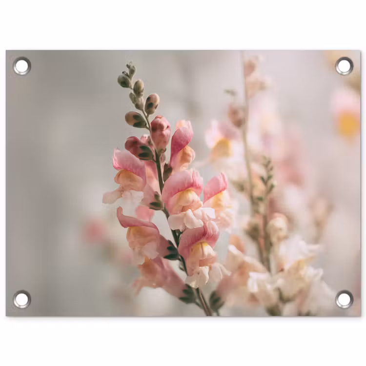 Bloem - Leeuwenbek - Roze - Stengel tuinposter los doek klein -3d