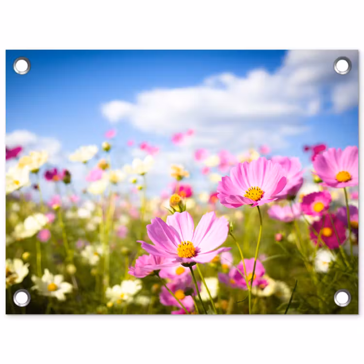 Bloemen - Wei - Paars - Gras - Wit - Wolken - Blauw tuinposter los doek klein -3d
