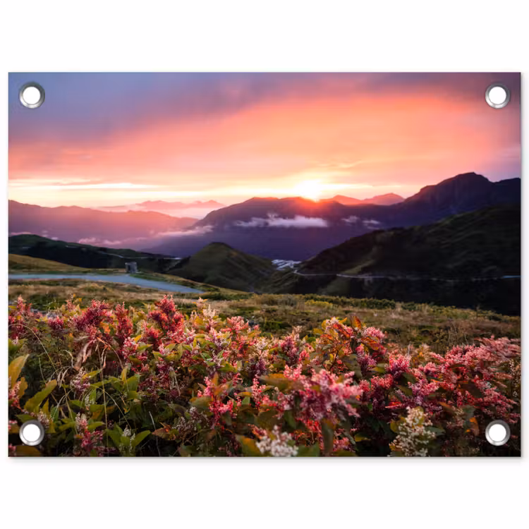 Bloemen - Bergen - Landschap - Nacht - Lucht - Roze tuinposter los doek klein -3d