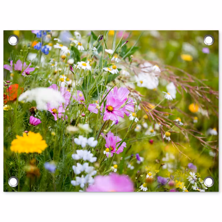 Bloemen - Natuur - Groen - Gras - Paars - Wit tuinposter los doek klein -3d