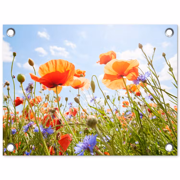 Bloemen - Klaproos - Lente - Natuur - Rood - Blauw tuinposter los doek klein -3d