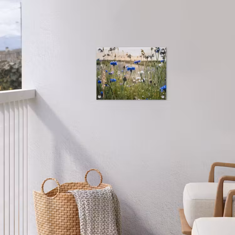 Bloemen - Zomer - Korenbloem - Blauw - Zon - Wolken tuinposter los doek klein -sfeer8