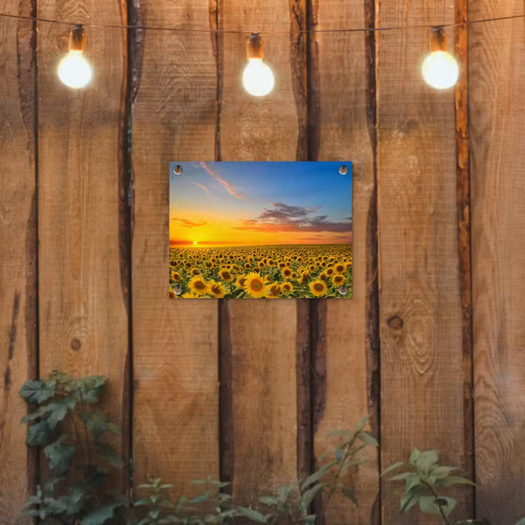 Bloemen - Zonnebloem - Zonsondergang - Nacht - Oranje tuinposter los doek klein -sfeer1