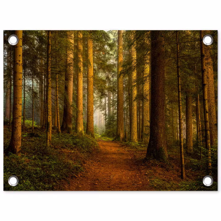 Bos - Natuur - Bomen - Landschap - Bladeren tuinposter los doek klein -3d
