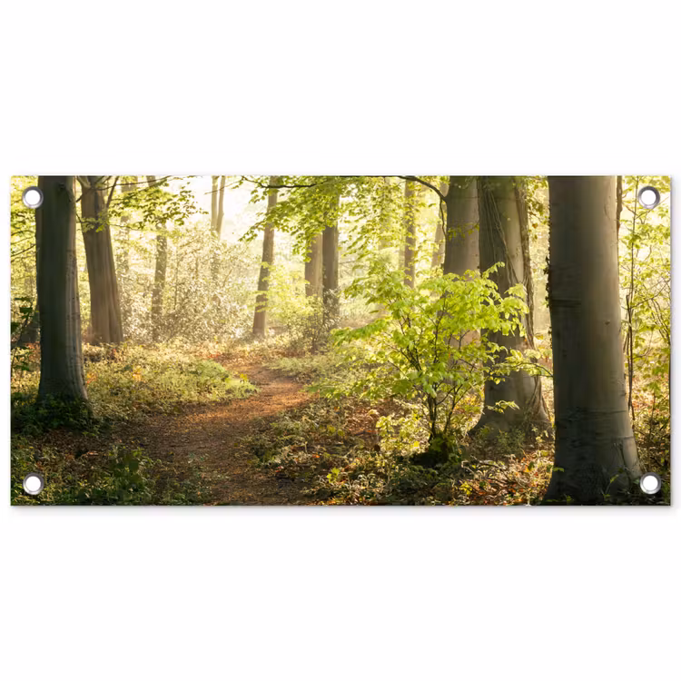 Bospad bij zonsopgang tuinposter los doek klein -3d