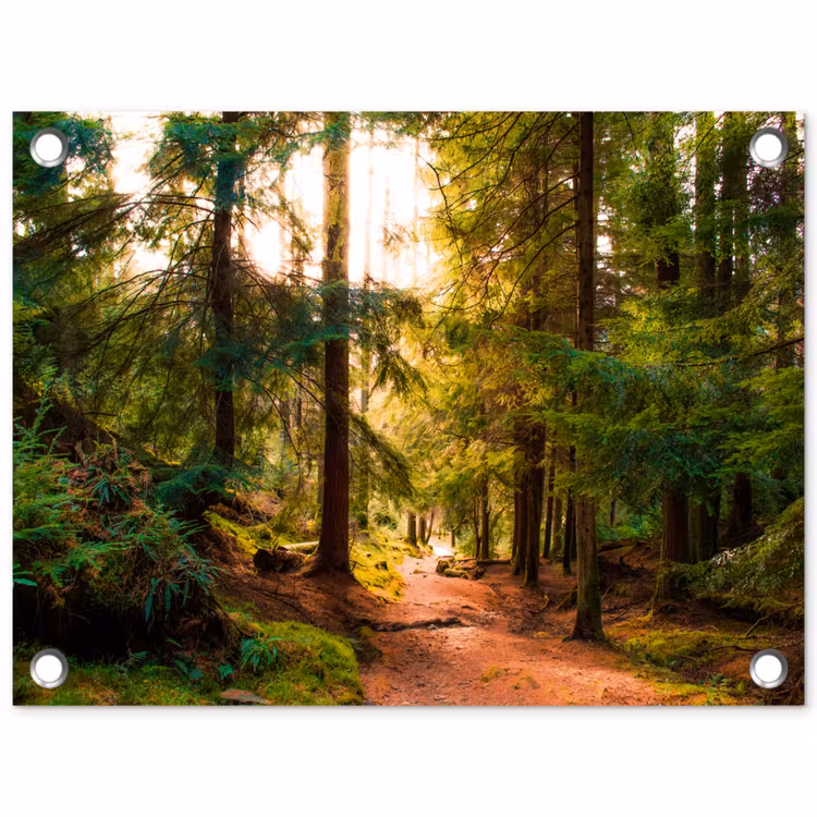 Bos - Pad - Bomen - Groen - Zon - Natuur tuinposter los doek klein -3d