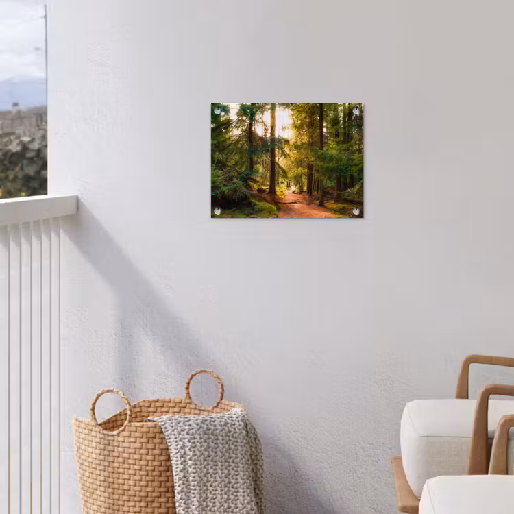 Bos - Pad - Bomen - Groen - Zon - Natuur tuinposter los doek klein -sfeer8