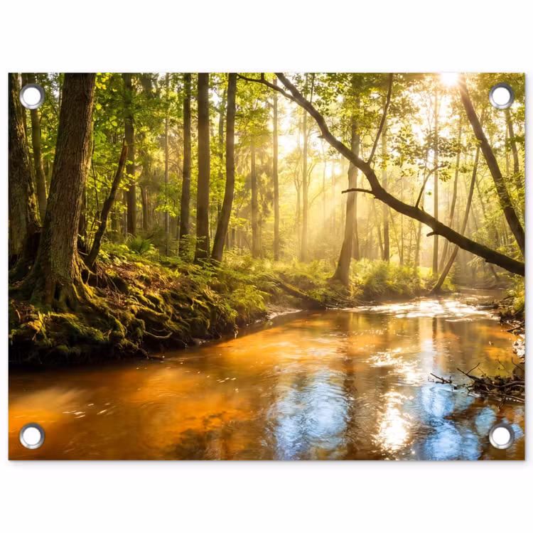 Bos - Beek - Zonlicht - Natuur - Groen tuinposter los doek klein -3d