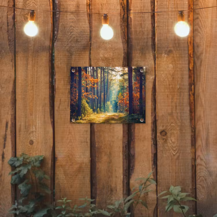 Bos - Zon - Natuur - Herfst tuinposter los doek klein -sfeer1