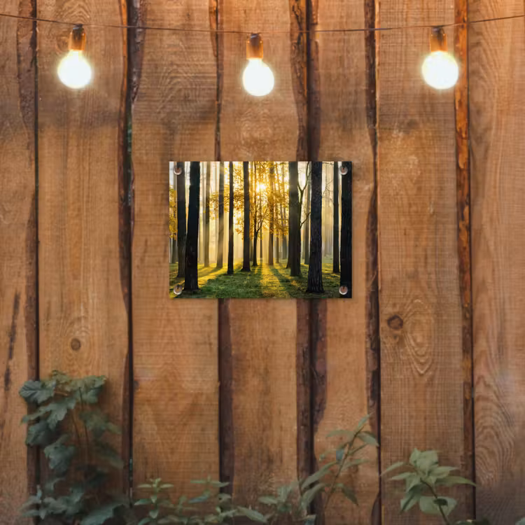 Bos - Zon - Bomen - Gras - Landschap - Natuur tuinposter los doek klein -sfeer1