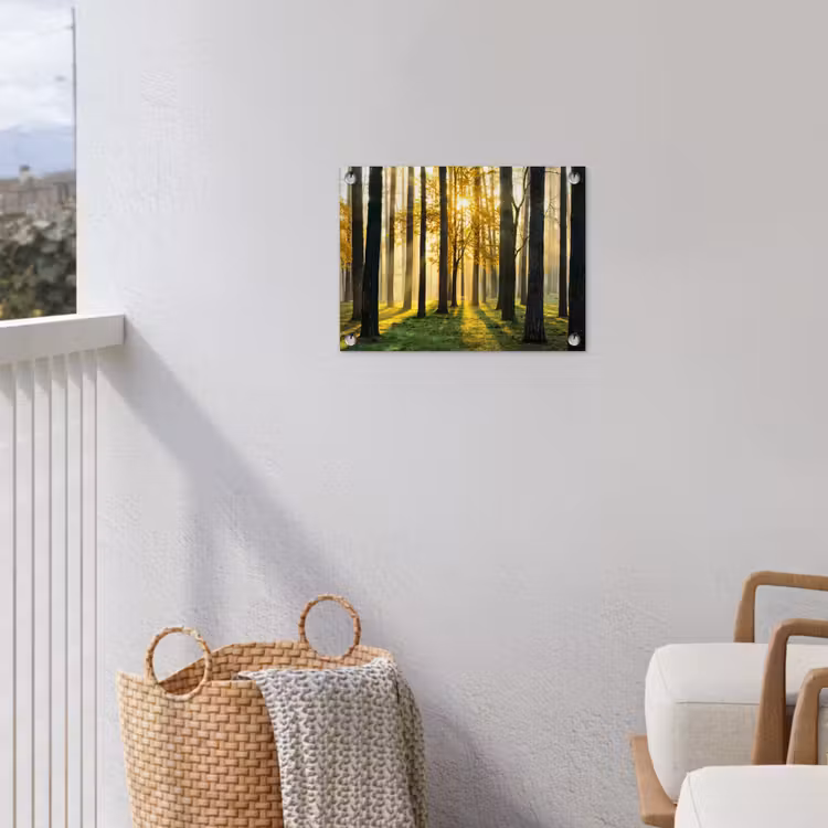 Bos - Zon - Bomen - Gras - Landschap - Natuur tuinposter los doek klein -sfeer8