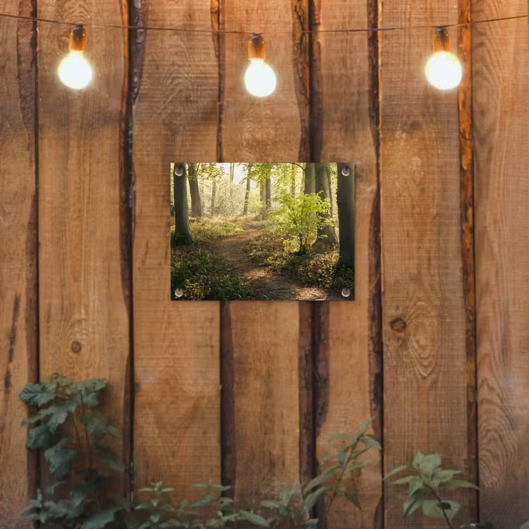 Bos - Bomen - Pad - Zon - Planten - Bladeren - Natuur tuinposter los doek klein -sfeer1