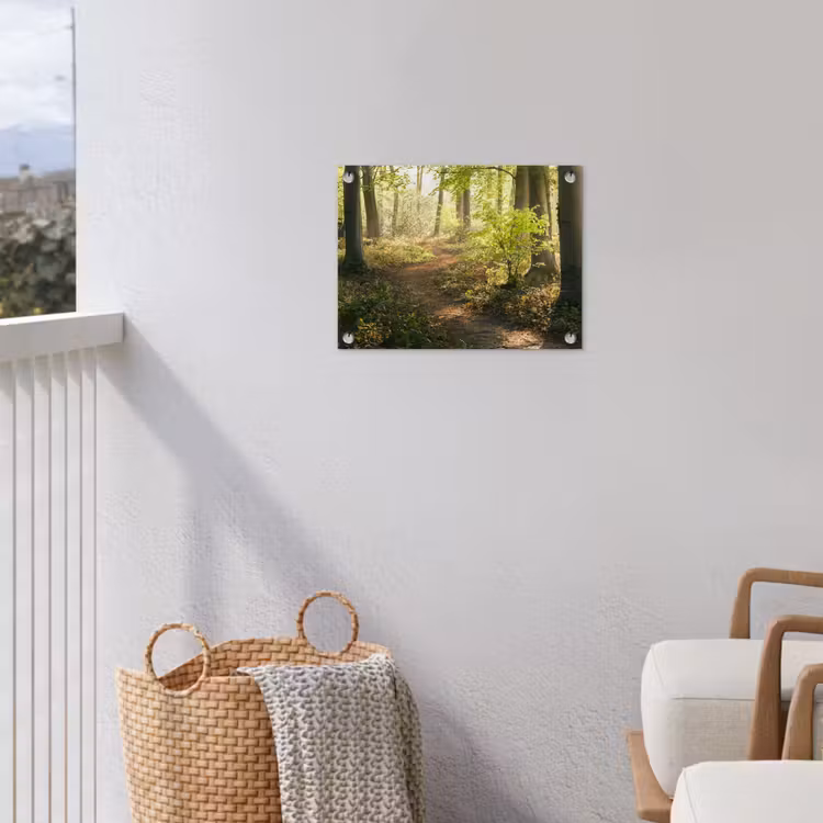 Bos - Bomen - Pad - Zon - Planten - Bladeren - Natuur tuinposter los doek klein -sfeer8