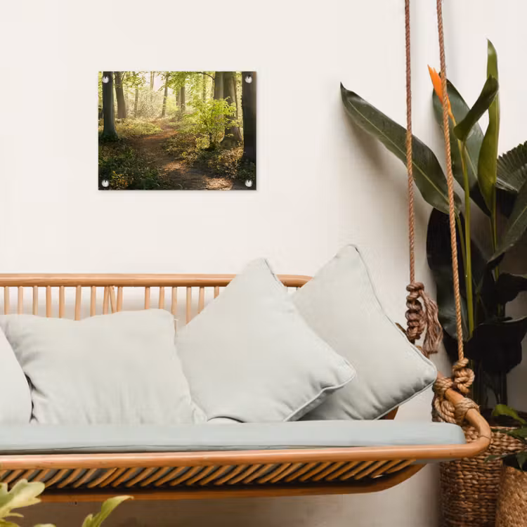 Bos - Bomen - Pad - Zon - Planten - Bladeren - Natuur tuinposter los doek klein -sfeer7