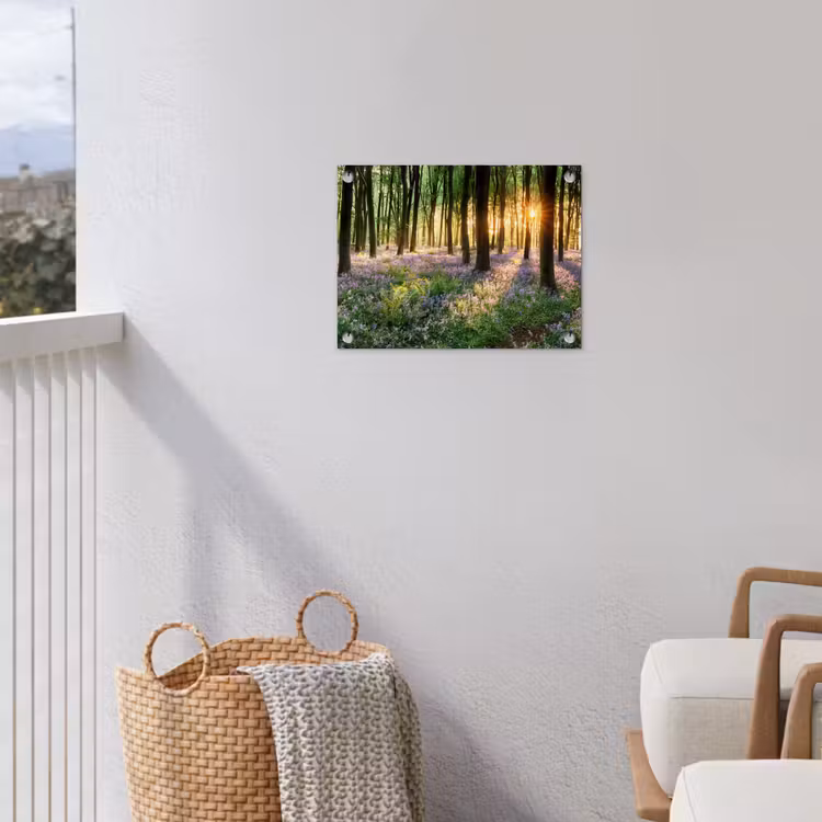 Bos met blauwe hyacinten bij zonsopgang tuinposter los doek klein -sfeer8