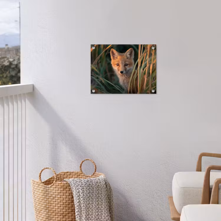 Vos - Oranje - Gras tuinposter los doek klein -sfeer8