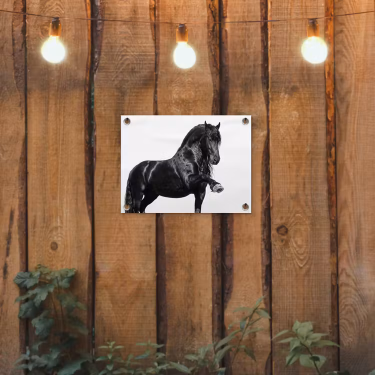 Fries - Hengst - Modern tuinposter los doek klein -sfeer1