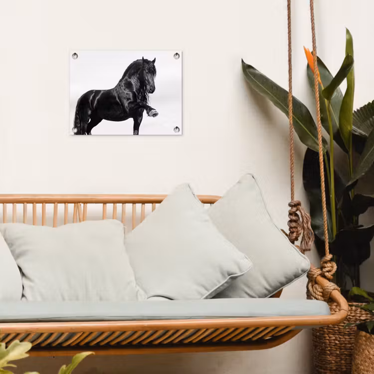 Fries - Hengst - Modern tuinposter los doek klein -sfeer7