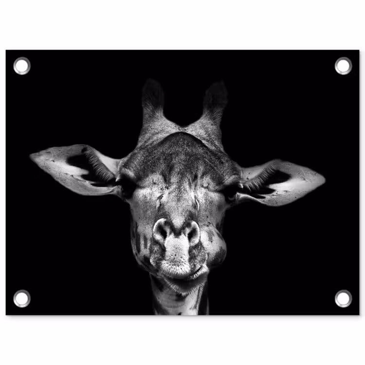Giraffe - Portret - Dieren - Zwart - Wit tuinposter los doek klein -3d
